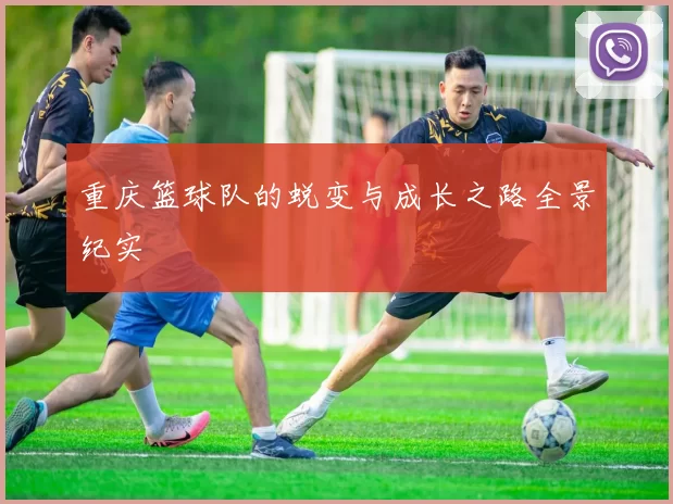重庆篮球队的蜕变与成长之路全景纪实