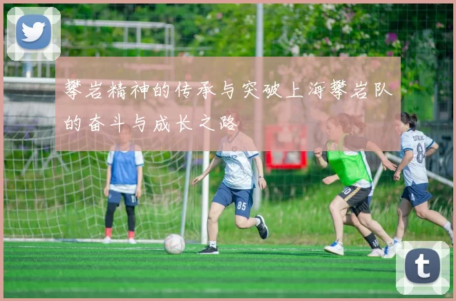 攀岩精神的传承与突破上海攀岩队的奋斗与成长之路