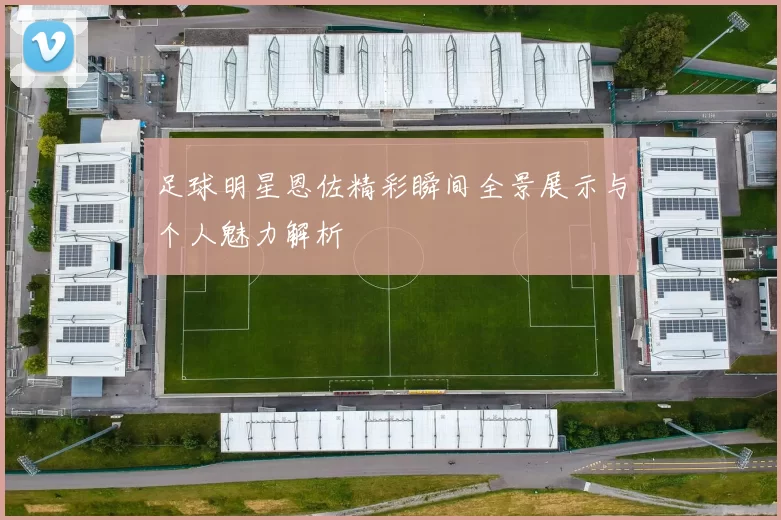 足球明星恩佐精彩瞬间全景展示与个人魅力解析