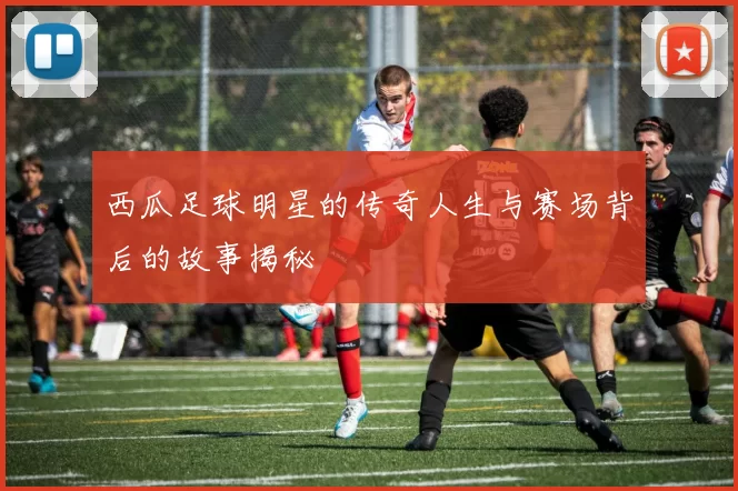 西瓜足球明星的传奇人生与赛场背后的故事揭秘