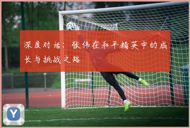 深度对话：张伟在和平精英中的成长与挑战之路