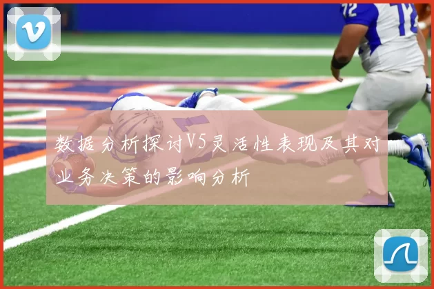 数据分析探讨V5灵活性表现及其对业务决策的影响分析