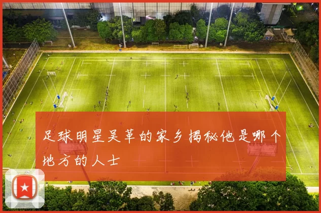 足球明星吴革的家乡揭秘他是哪个地方的人士