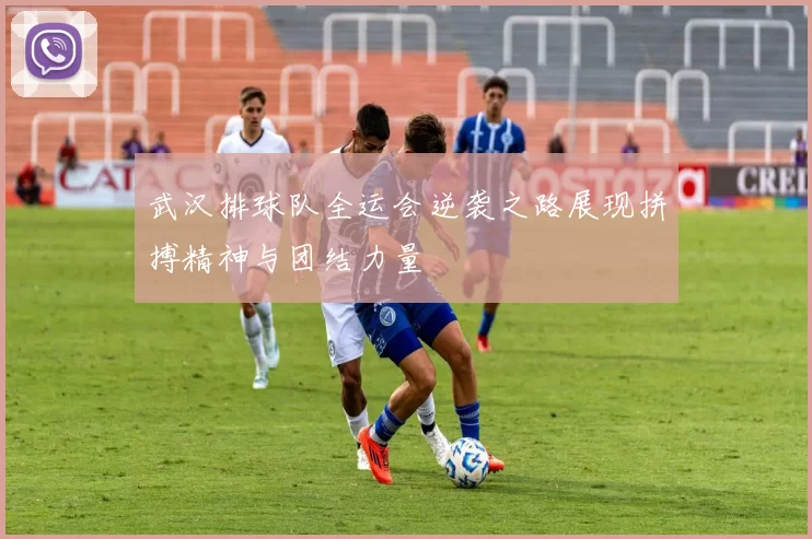 武汉排球队全运会逆袭之路展现拼搏精神与团结力量