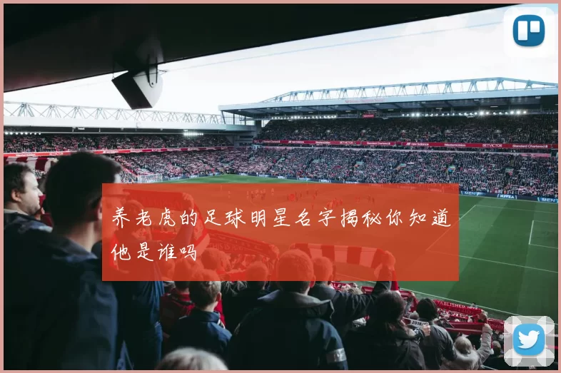 养老虎的足球明星名字揭秘你知道他是谁吗