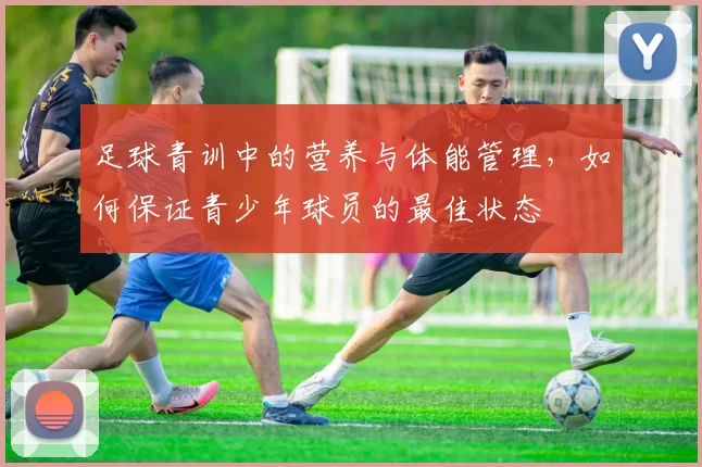 足球青训中的营养与体能管理，如何保证青少年球员的最佳状态