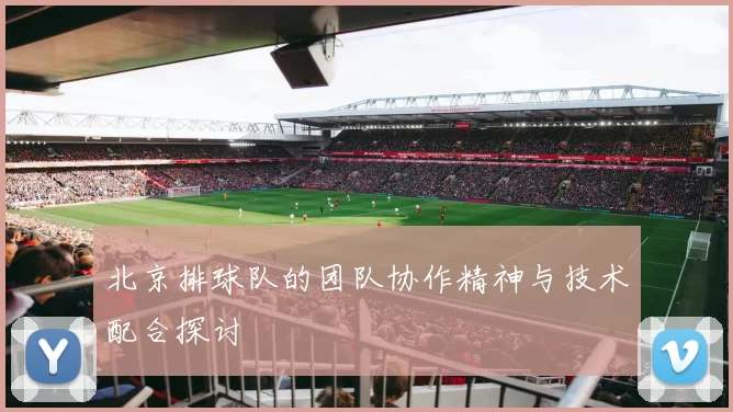 北京排球队的团队协作精神与技术配合探讨