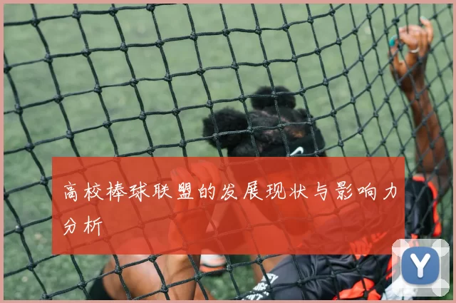 高校棒球联盟的发展现状与影响力分析