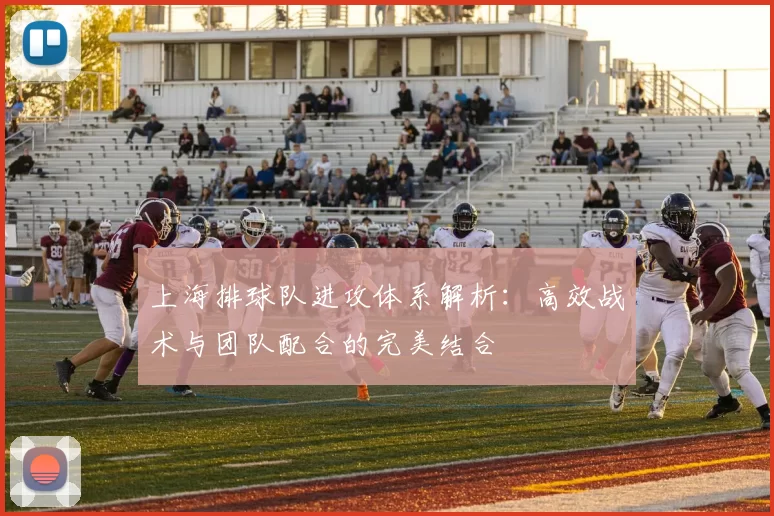 上海排球队进攻体系解析：高效战术与团队配合的完美结合