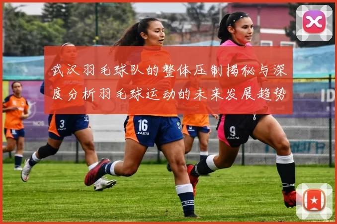 武汉羽毛球队的整体压制揭秘与深度分析羽毛球运动的未来发展趋势
