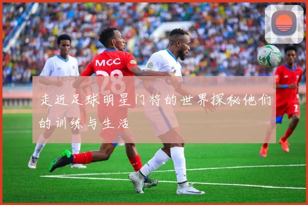 走近足球明星门将的世界探秘他们的训练与生活