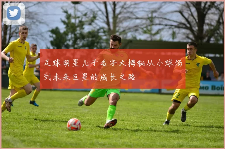 足球明星儿子名字大揭秘从小球场到未来巨星的成长之路