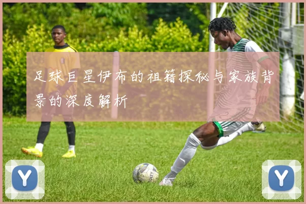 足球巨星伊布的祖籍探秘与家族背景的深度解析