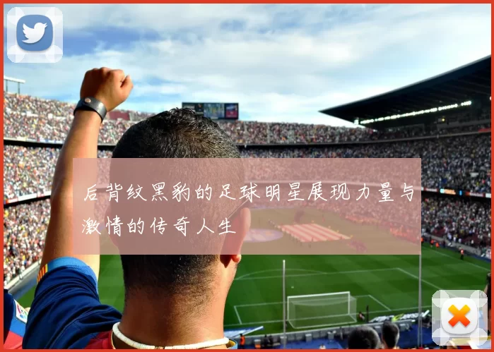 后背纹黑豹的足球明星展现力量与激情的传奇人生