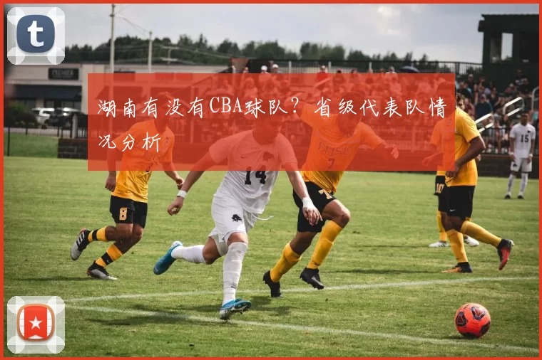 湖南有没有CBA球队？省级代表队情况分析