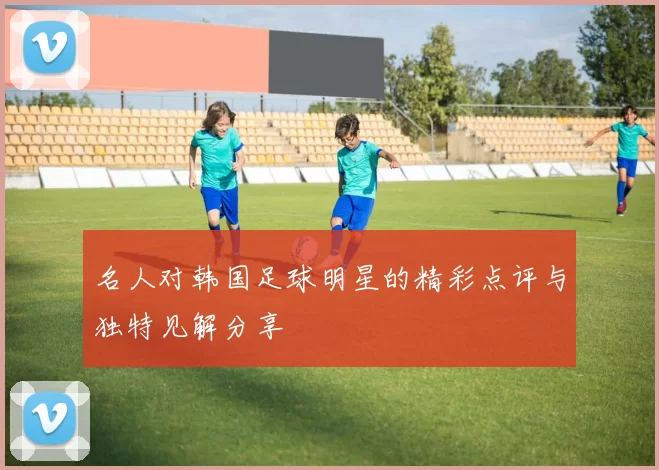 名人对韩国足球明星的精彩点评与独特见解分享