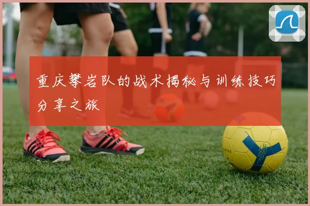 重庆攀岩队的战术揭秘与训练技巧分享之旅
