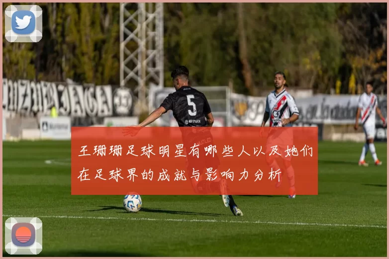 王珊珊足球明星有哪些人以及她们在足球界的成就与影响力分析