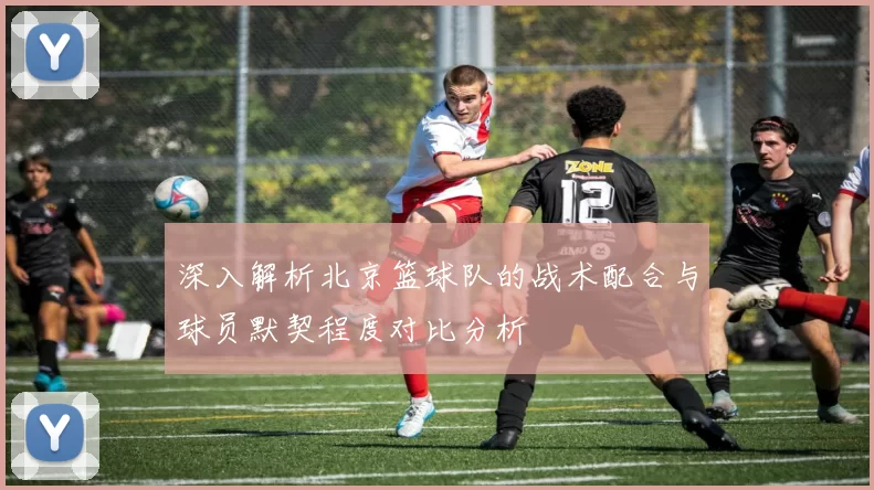 深入解析北京篮球队的战术配合与球员默契程度对比分析