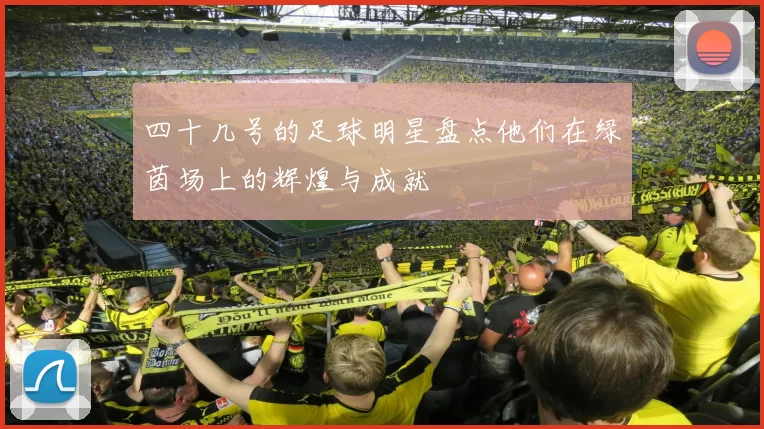 四十几号的足球明星盘点他们在绿茵场上的辉煌与成就