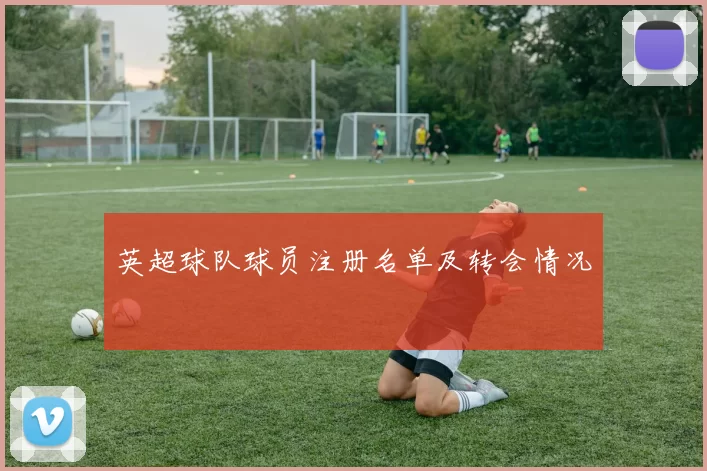 英超球队球员注册名单及转会情况