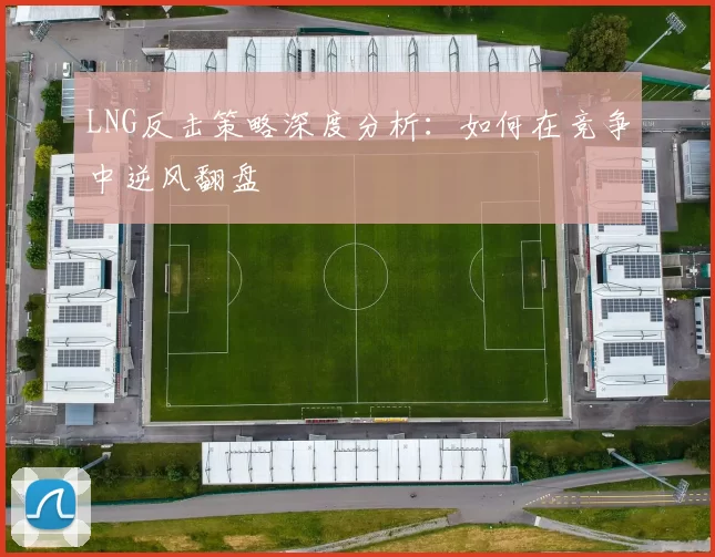 LNG反击策略深度分析：如何在竞争中逆风翻盘