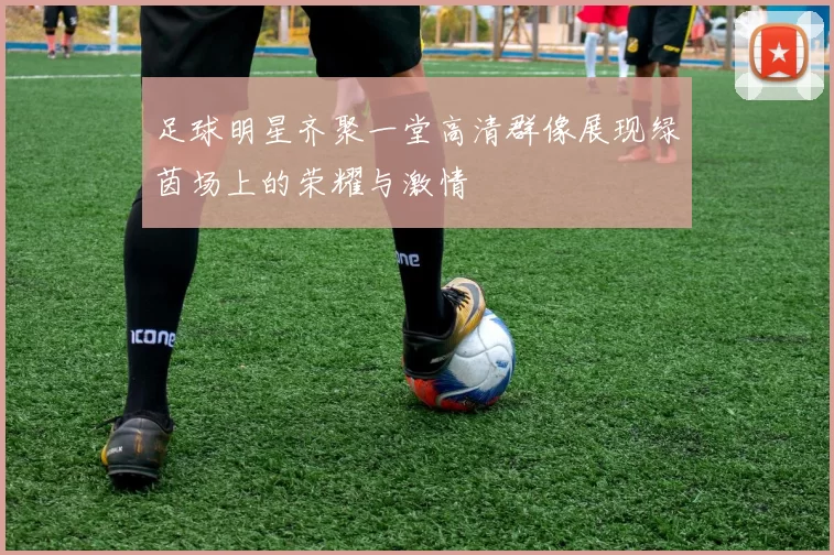 足球明星齐聚一堂高清群像展现绿茵场上的荣耀与激情