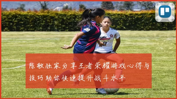陈敏独家分享王者荣耀游戏心得与技巧助你快速提升战斗水平