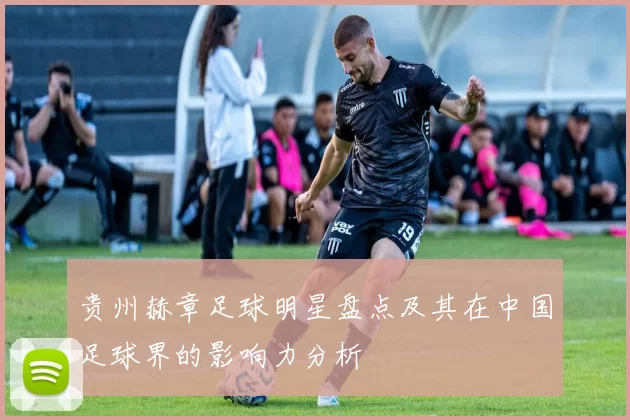 贵州赫章足球明星盘点及其在中国足球界的影响力分析